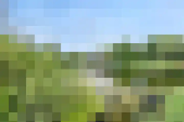 Pelikaan 46 Ridderkerk thumbnail 30