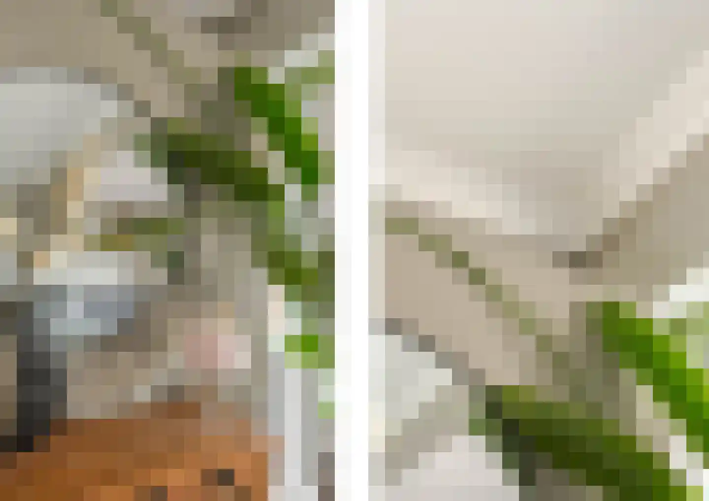 Pelikaan 7 Ridderkerk thumbnail 14