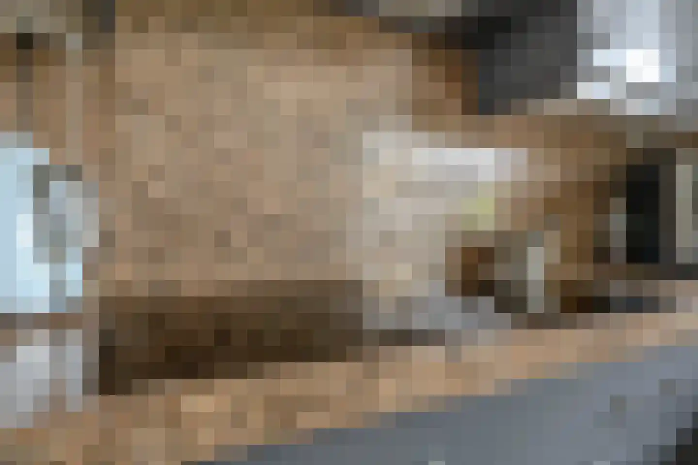Pelikaan 7 Ridderkerk thumbnail 16