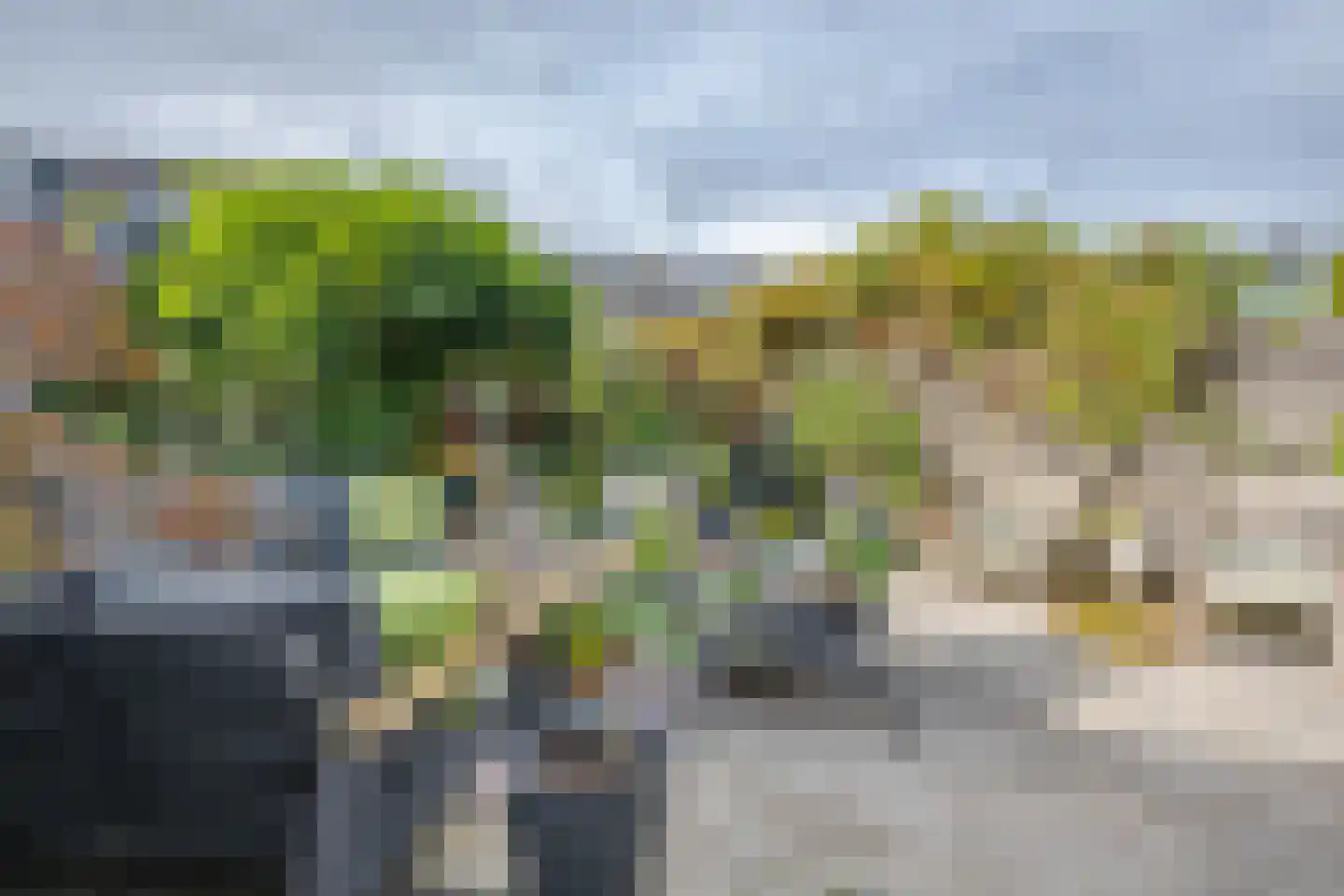 Pelikaan 7 Ridderkerk thumbnail 19