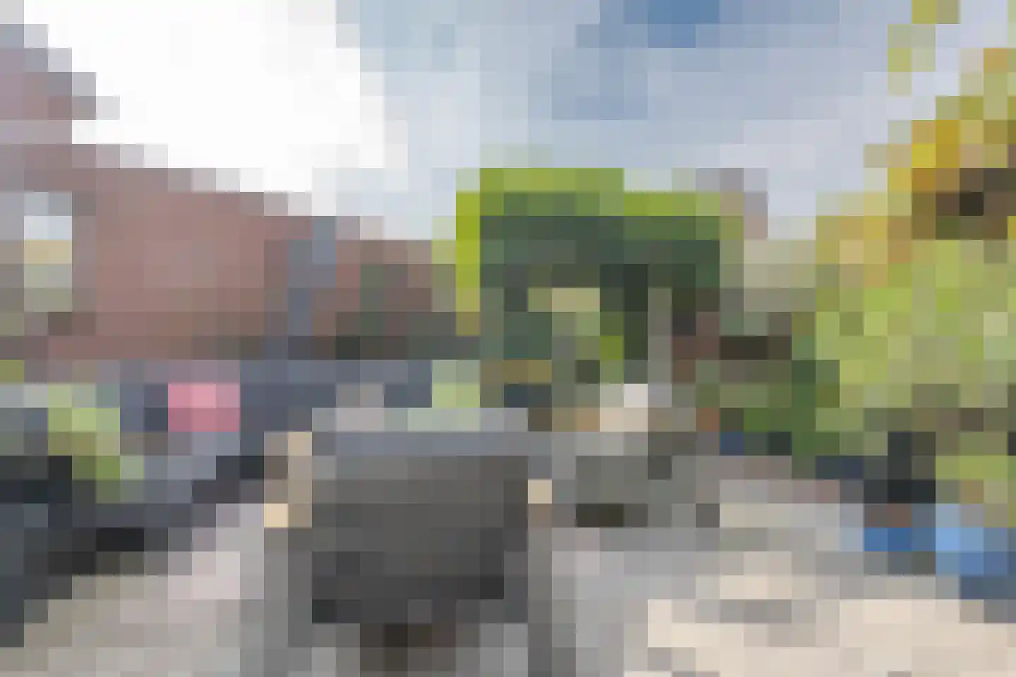 Pelikaan 7 Ridderkerk thumbnail 20