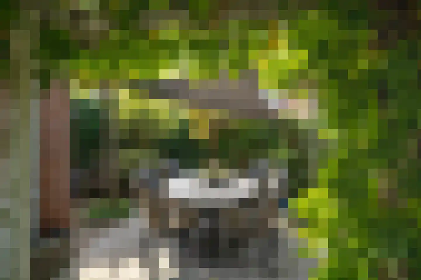 Pelikaan 7 Ridderkerk thumbnail 22