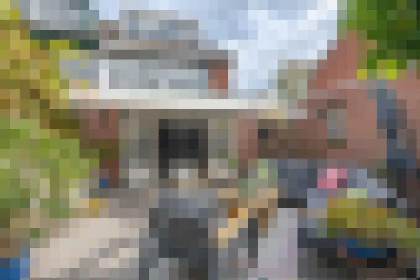Pelikaan 7 Ridderkerk thumbnail 24