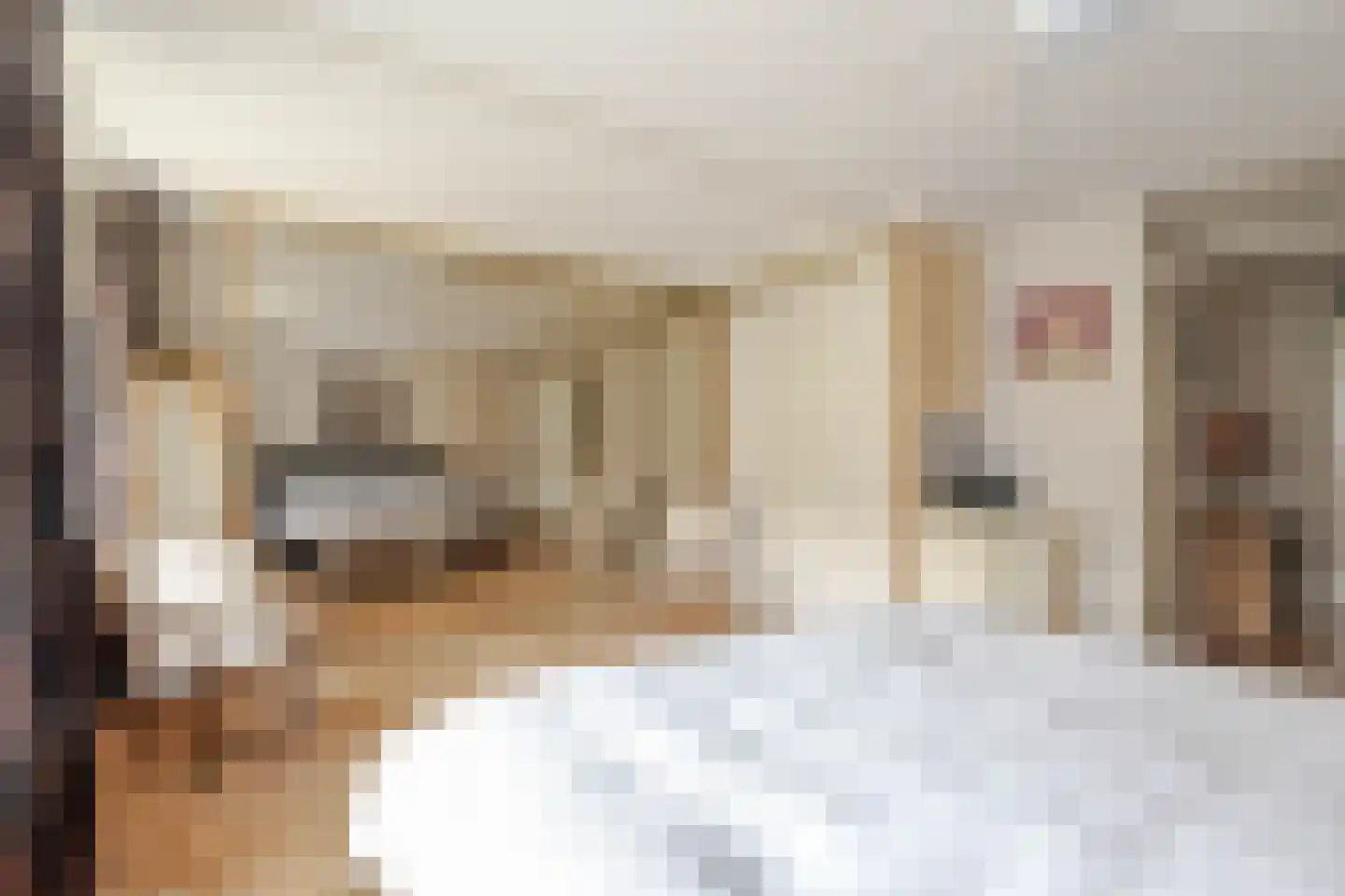 Pelikaan 7 Ridderkerk thumbnail 29