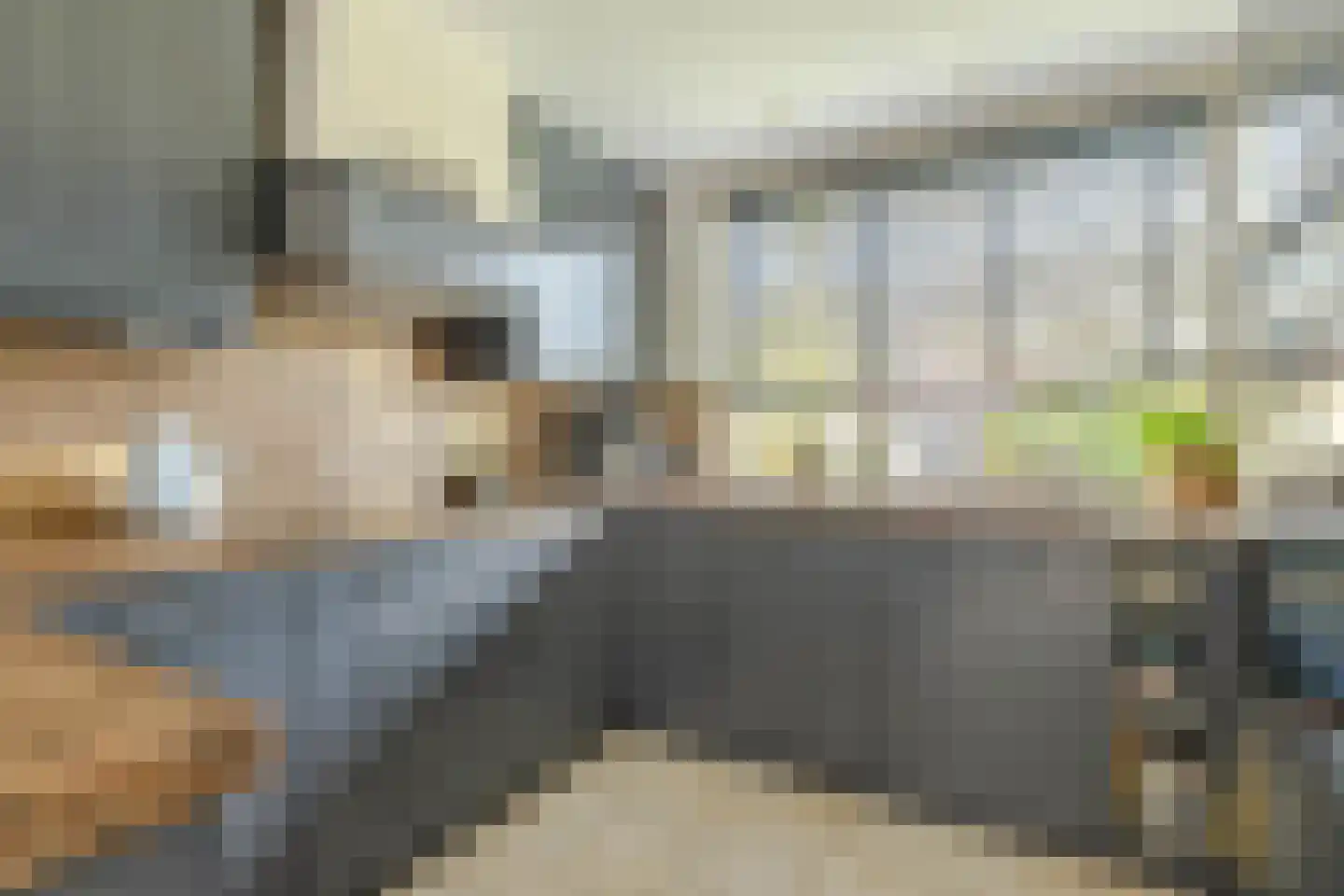 Pelikaan 7 Ridderkerk thumbnail 4
