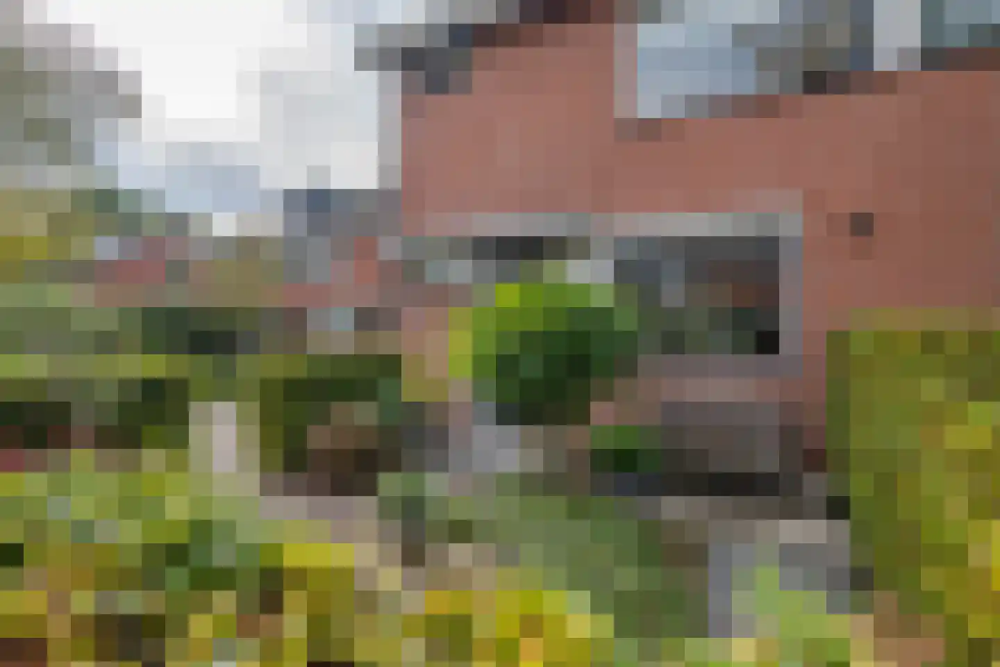 Pelikaan 7 Ridderkerk thumbnail 46