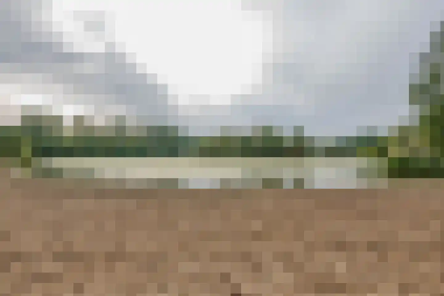 Pelikaan 7 Ridderkerk thumbnail 49