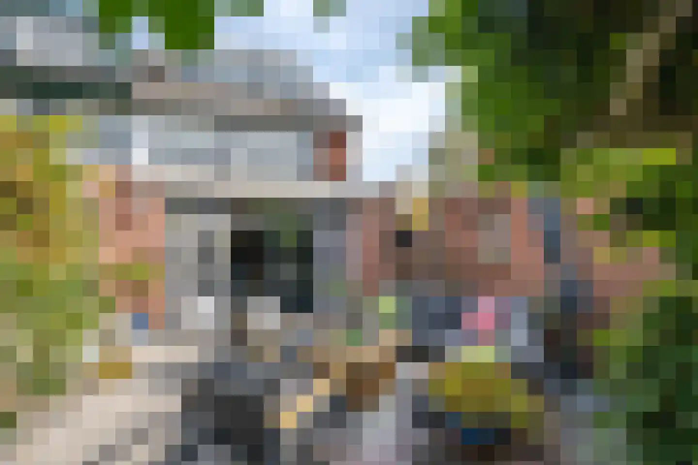 Pelikaan 7 Ridderkerk thumbnail 5