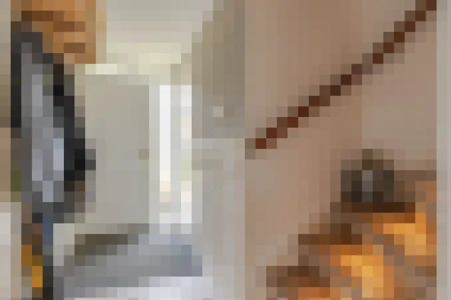 Pelikaan 7 Ridderkerk thumbnail 8