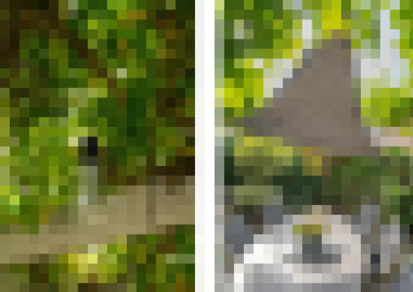 Pelikaan 7 Ridderkerk thumbnail 9