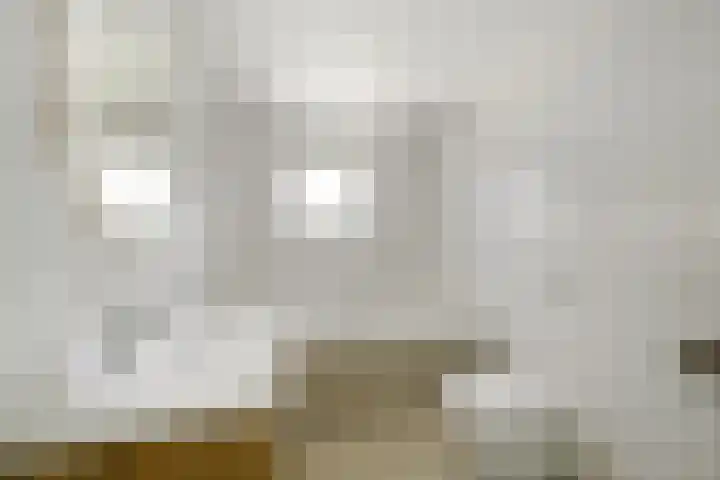 Pelikaanhof 1 Leidschendam thumbnail 13