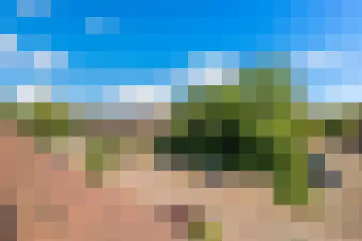 Pelikaanhof 1 Leidschendam thumbnail 20