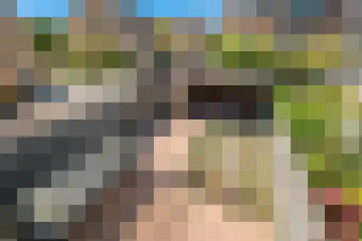 Pelikaanhof 1 Leidschendam thumbnail 21
