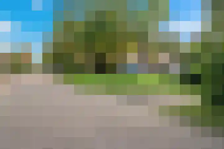 Pelikaanhof 1 Leidschendam thumbnail 22