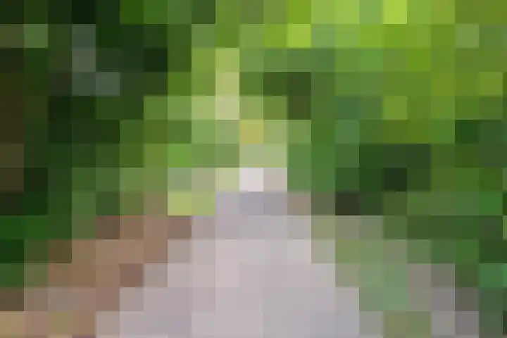 Pelikaanhof 1 Leidschendam thumbnail 26