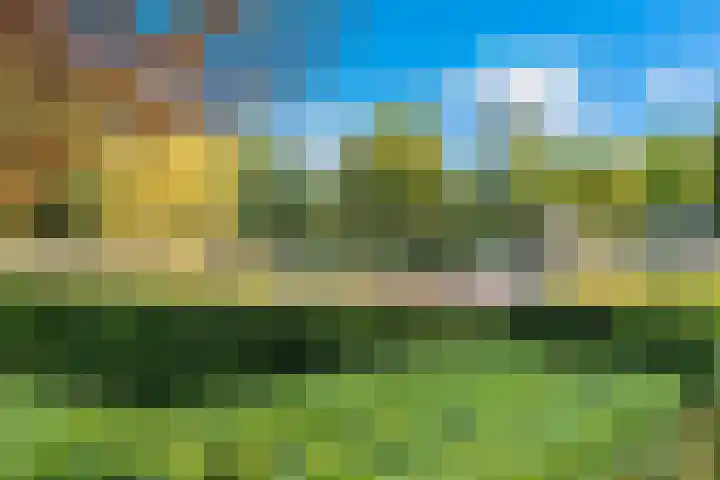 Pelikaanhof 1 Leidschendam thumbnail 27