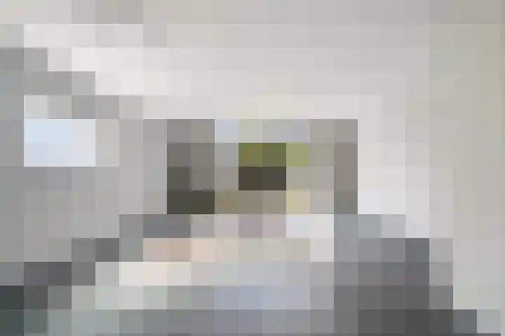 Pelikaanhof 1 Leidschendam thumbnail 5