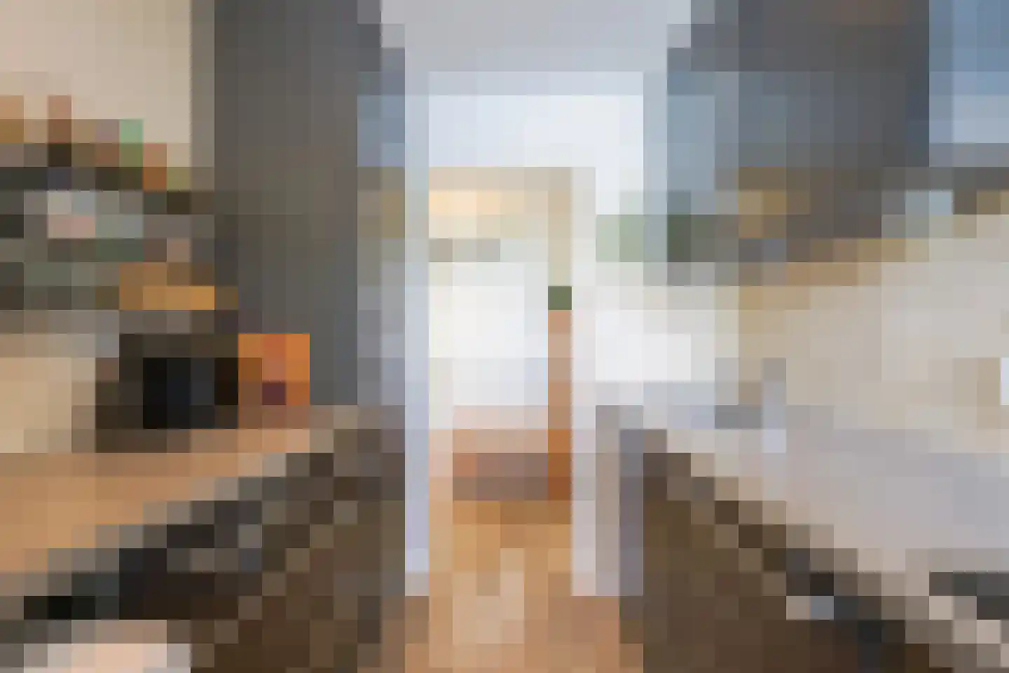 Pelikaanhof 10 Beverwijk thumbnail 12