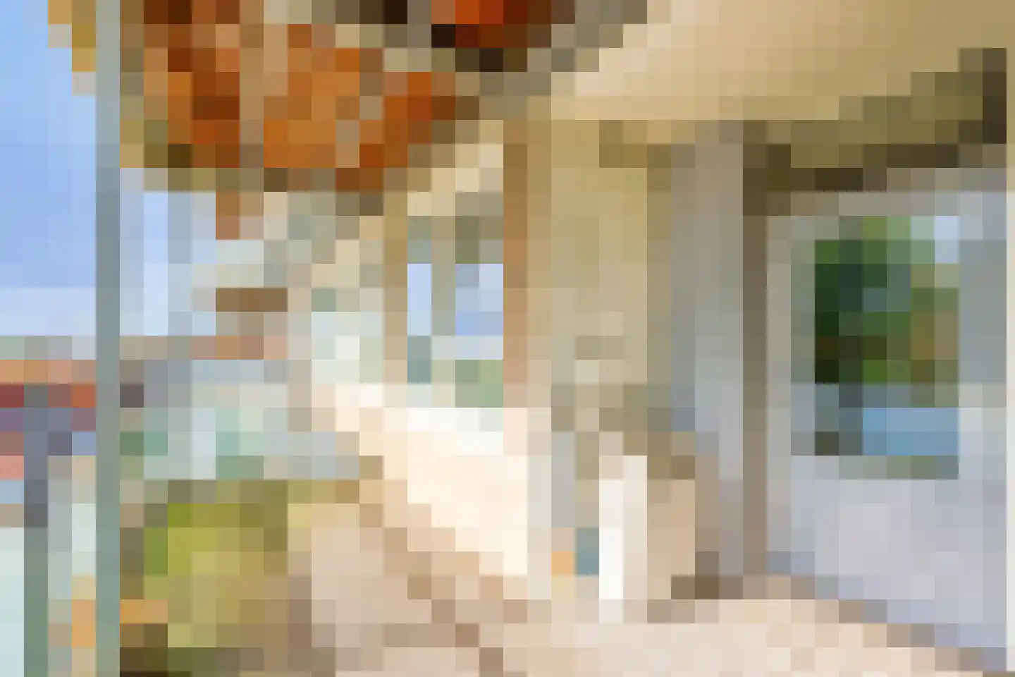 Pelikaanhof 10 Beverwijk thumbnail 14