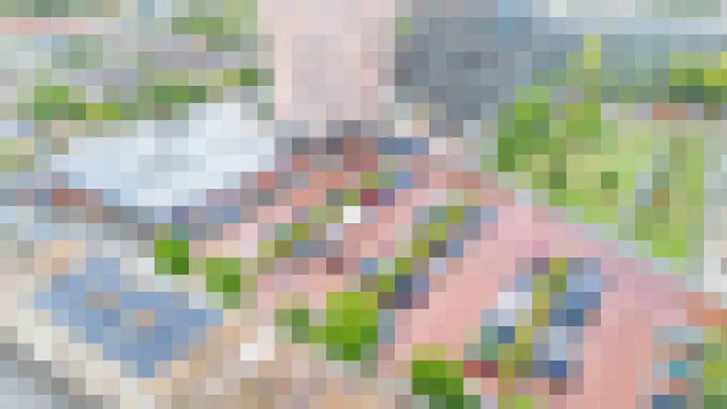 Pelikaanhof 10 Beverwijk thumbnail 30