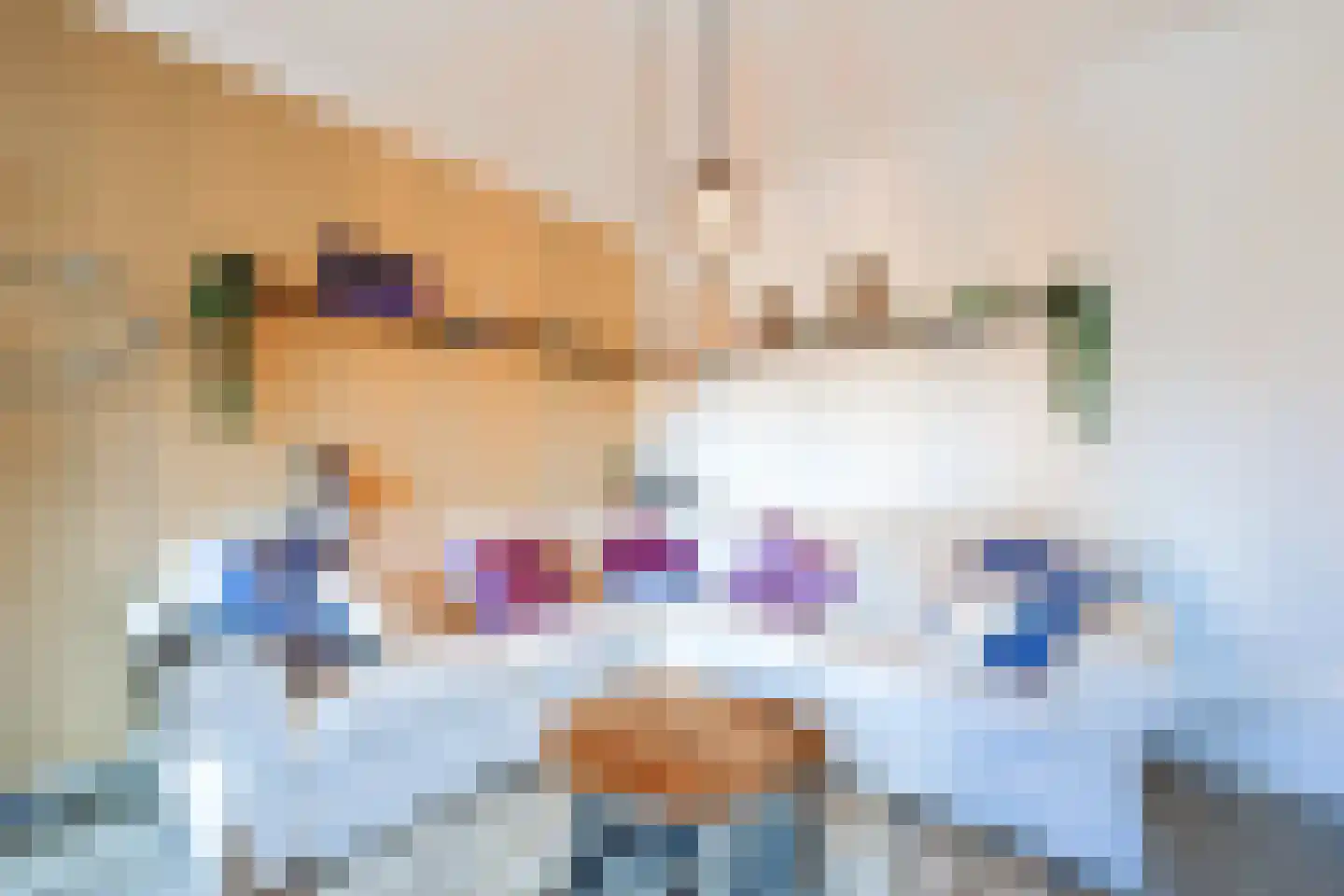 Pelikaanhof 10 Beverwijk thumbnail 5