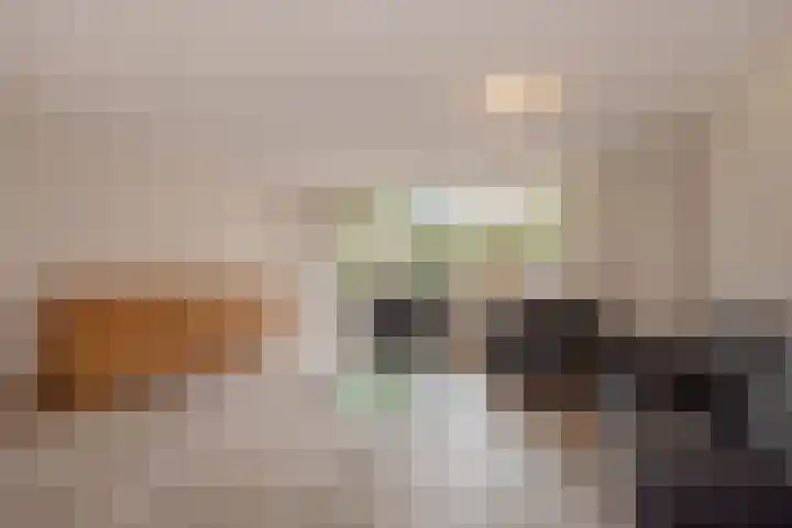 Pelikaanhof 11 Leidschendam thumbnail 11