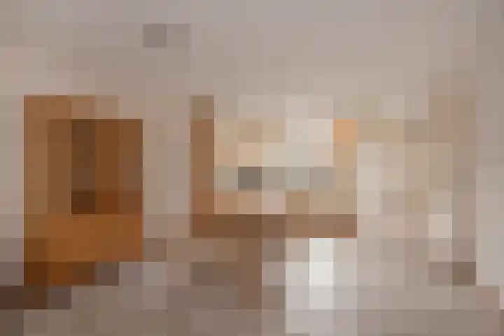 Pelikaanhof 11 Leidschendam thumbnail 12