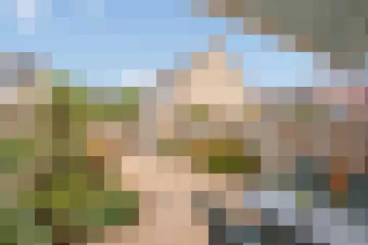 Pelikaanhof 11 Leidschendam thumbnail 15