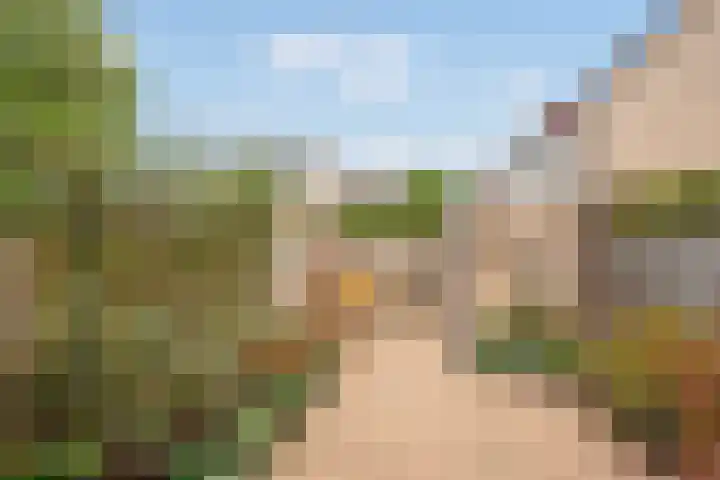 Pelikaanhof 11 Leidschendam thumbnail 16
