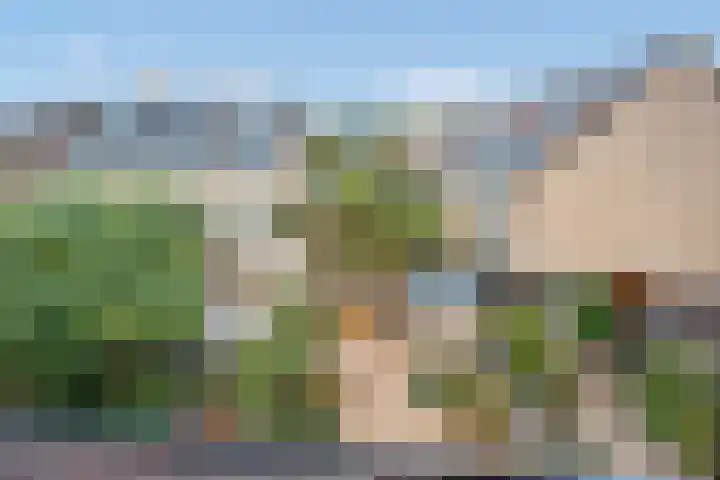 Pelikaanhof 11 Leidschendam thumbnail 30