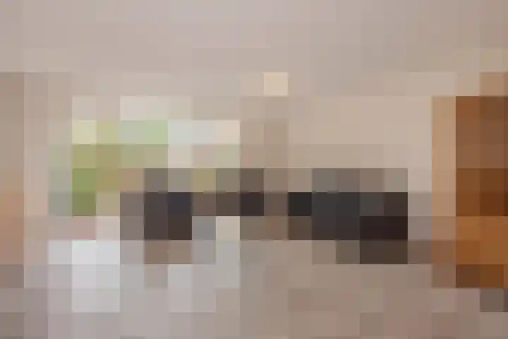 Pelikaanhof 11 Leidschendam thumbnail 7