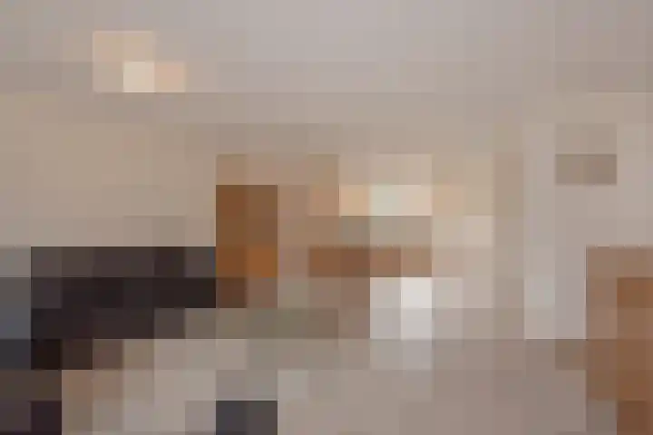 Pelikaanhof 11 Leidschendam thumbnail 8