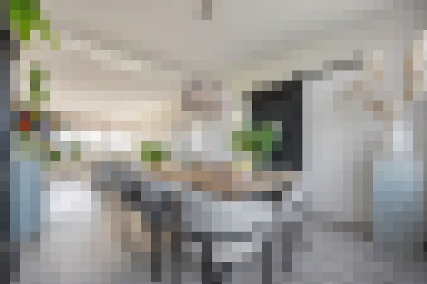 Pelikaanhof 32 Beverwijk thumbnail 16
