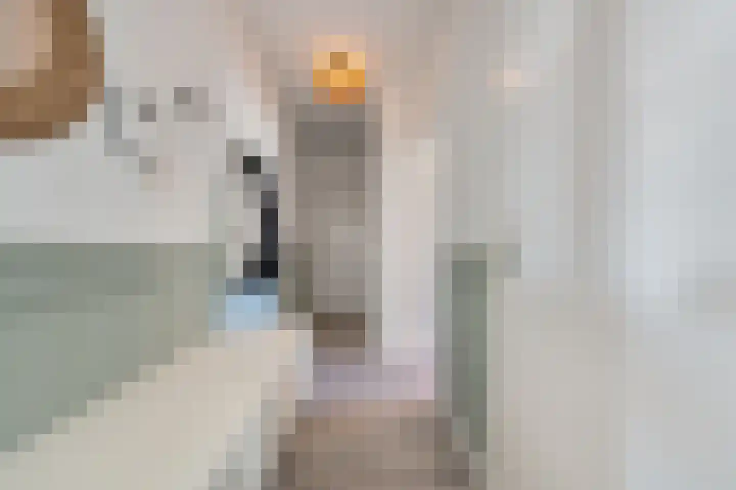 Pelikaanhof 32 Beverwijk thumbnail 18