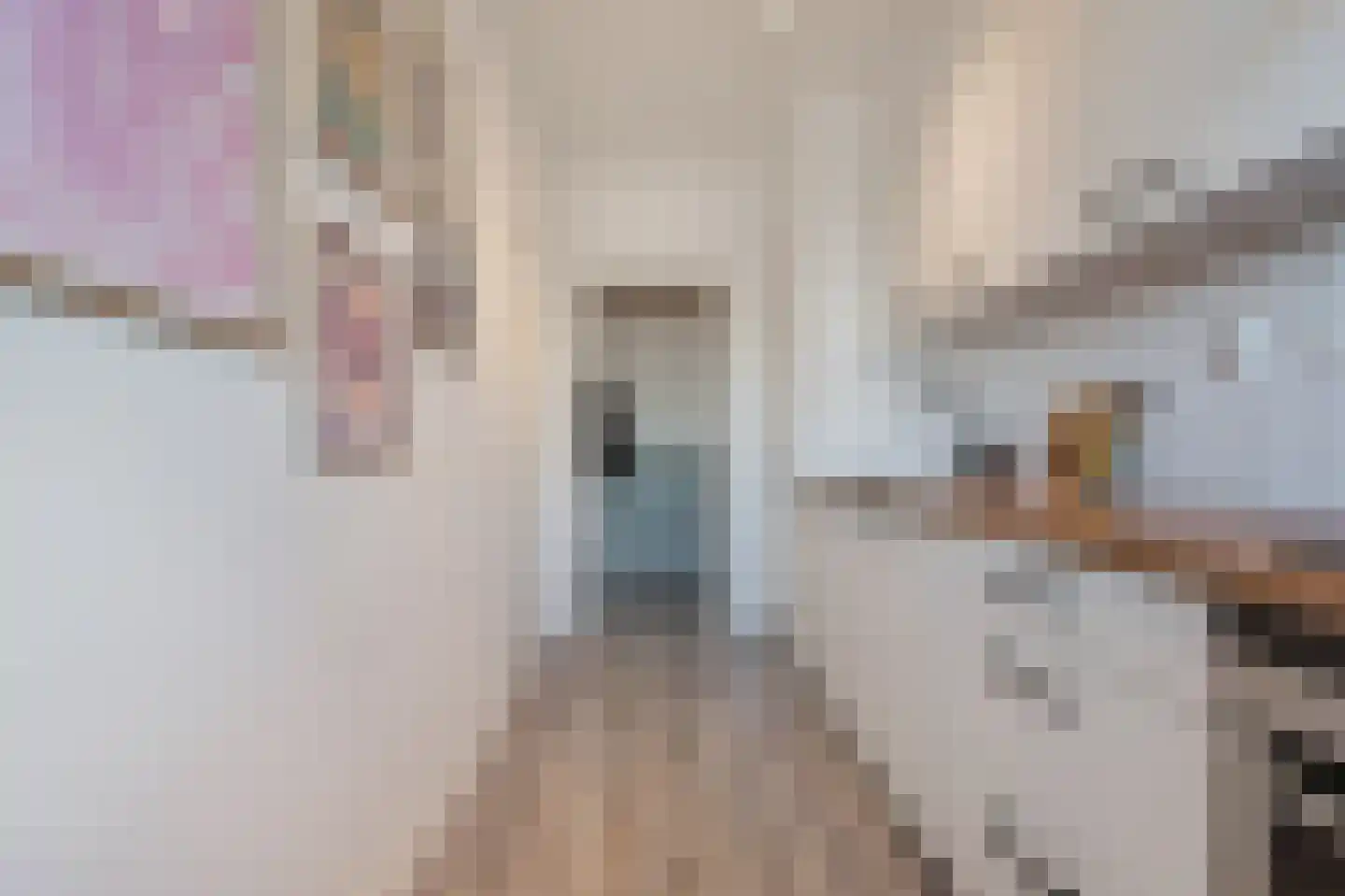 Pelikaanhof 32 Beverwijk thumbnail 20