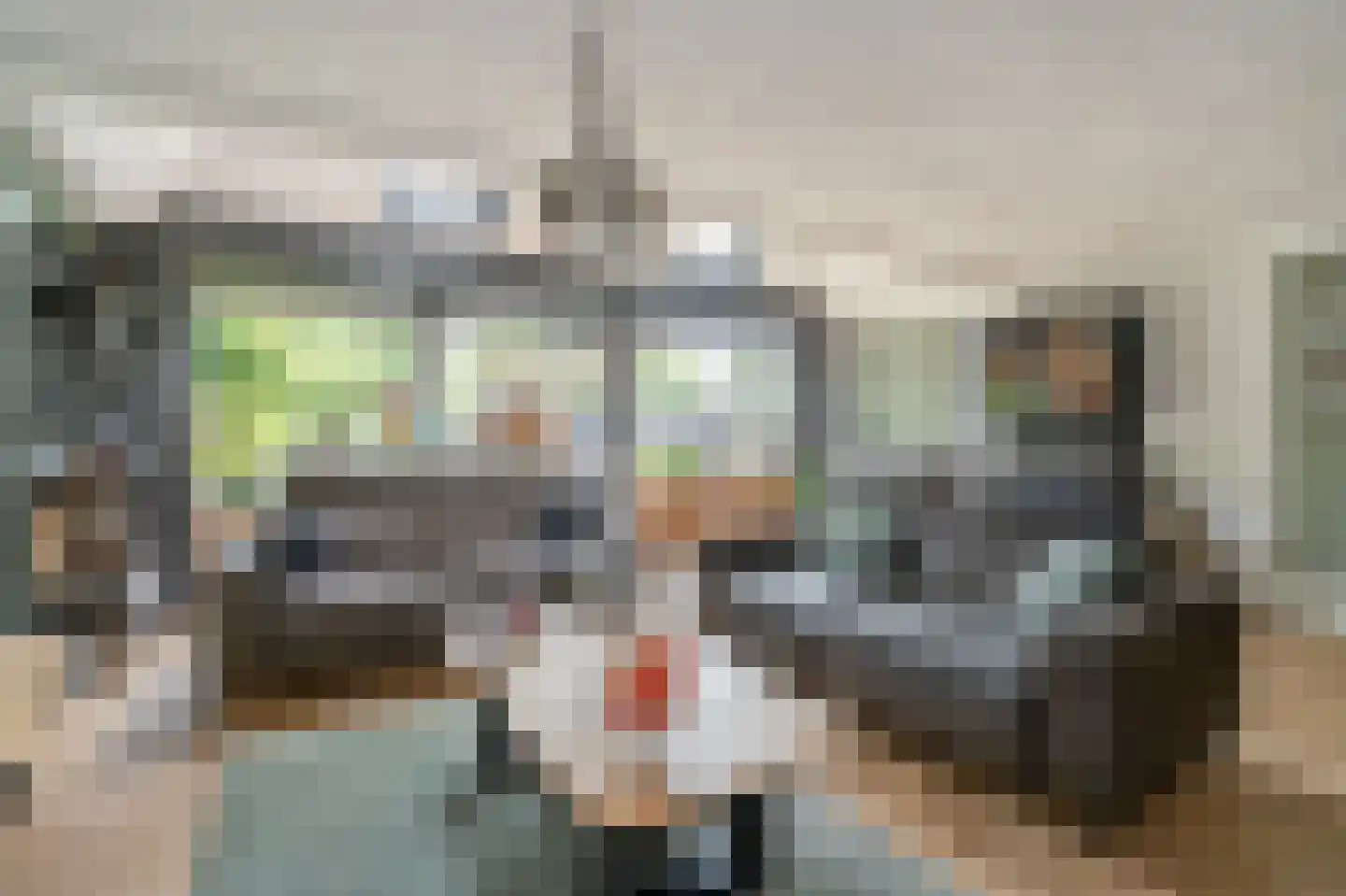 Pelikaanhof 38 Leidschendam thumbnail 14
