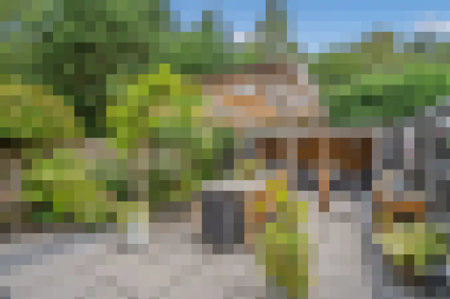 Pelikaanhof 38 Leidschendam thumbnail 16