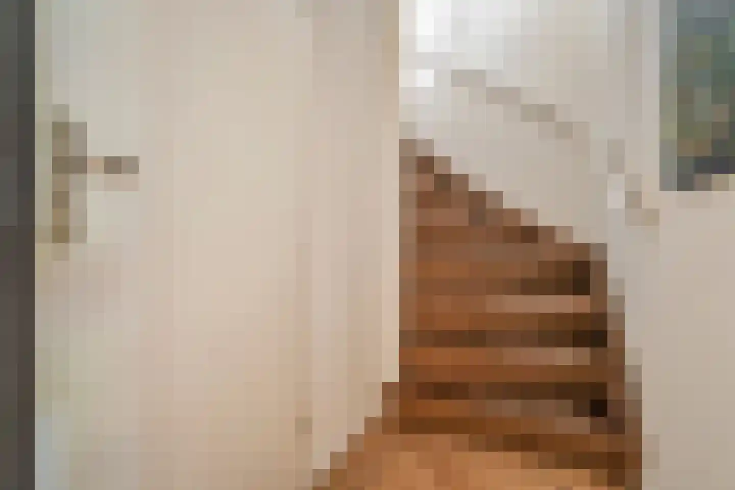 Pelikaanhof 38 Leidschendam thumbnail 22