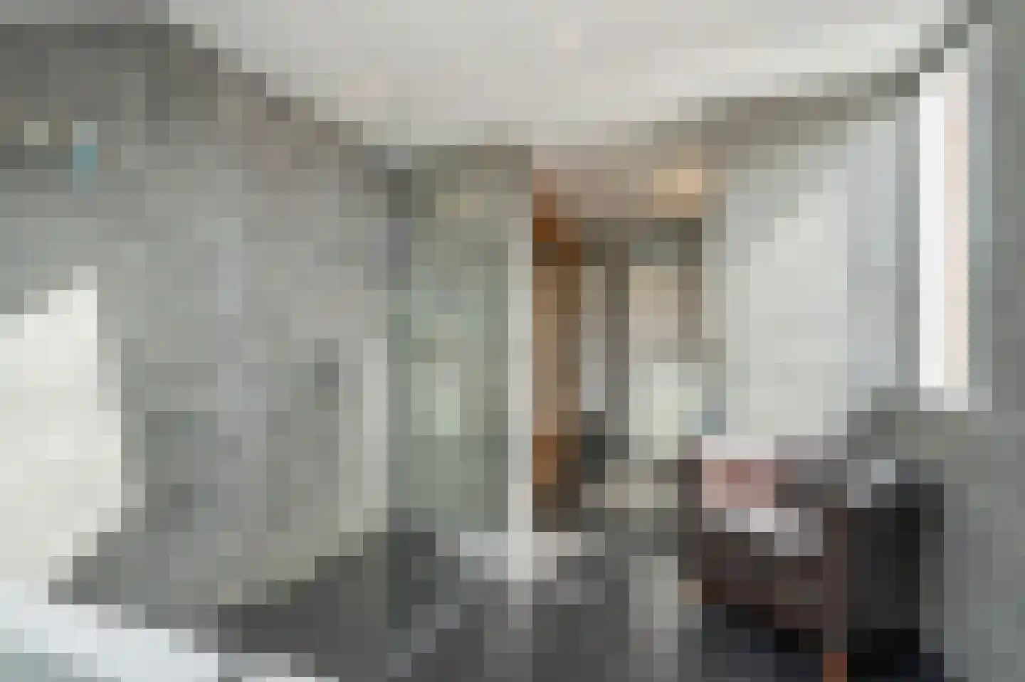 Pelikaanhof 38 Leidschendam thumbnail 27