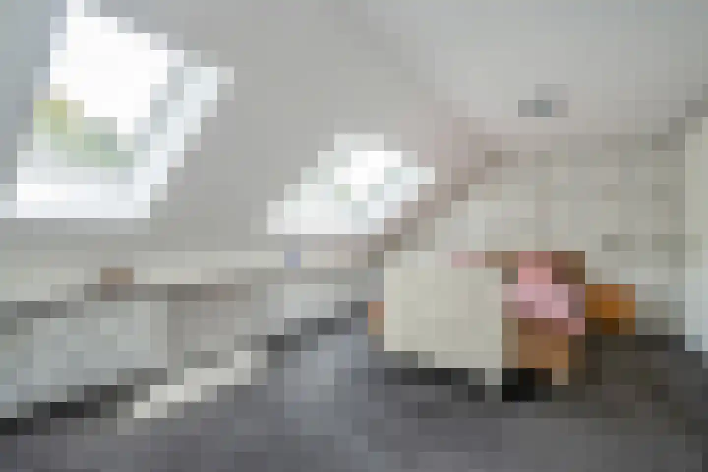 Pelikaanhof 38 Leidschendam thumbnail 30