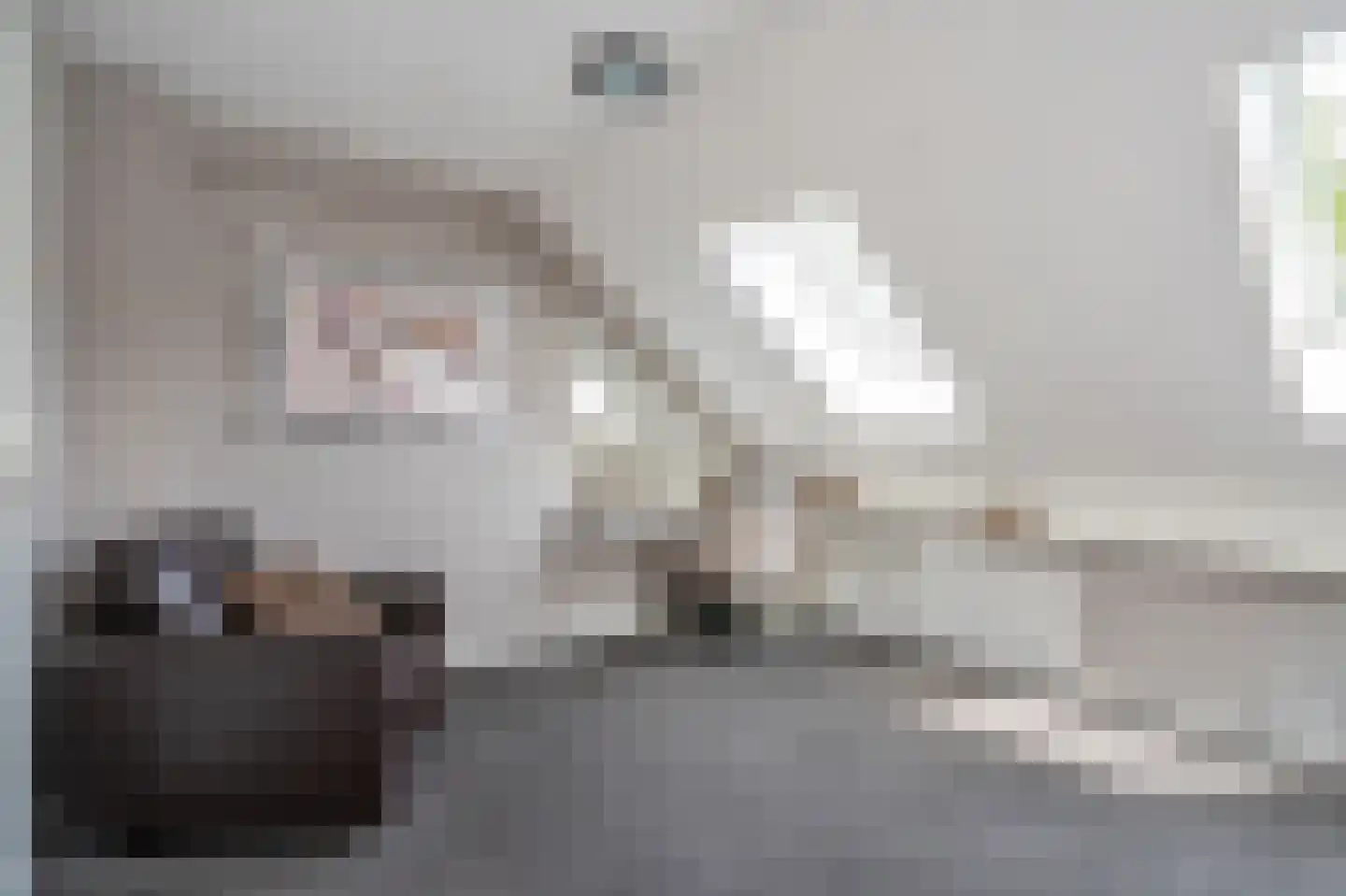 Pelikaanhof 38 Leidschendam thumbnail 31