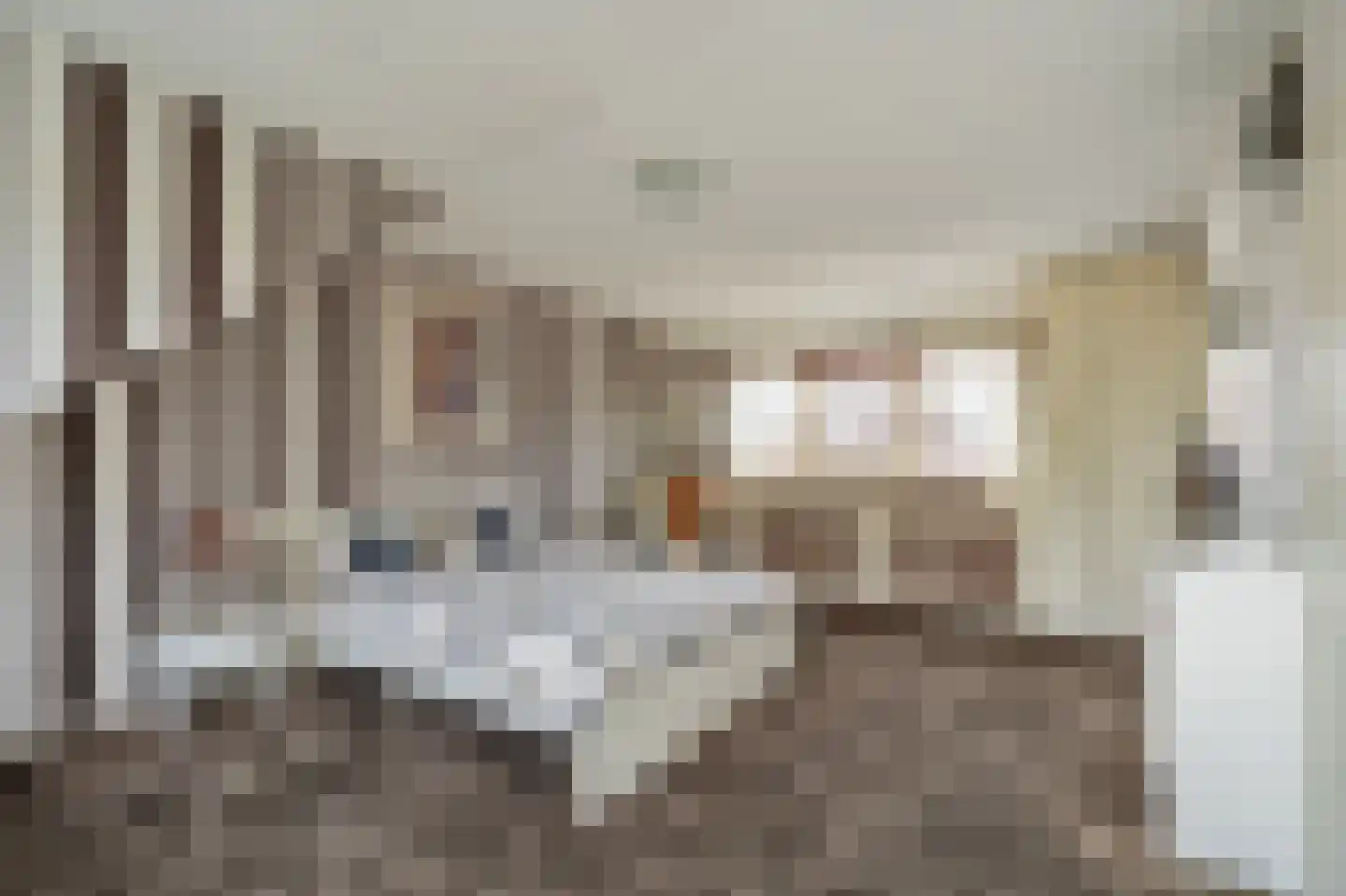 Pelikaanhof 38 Leidschendam thumbnail 35