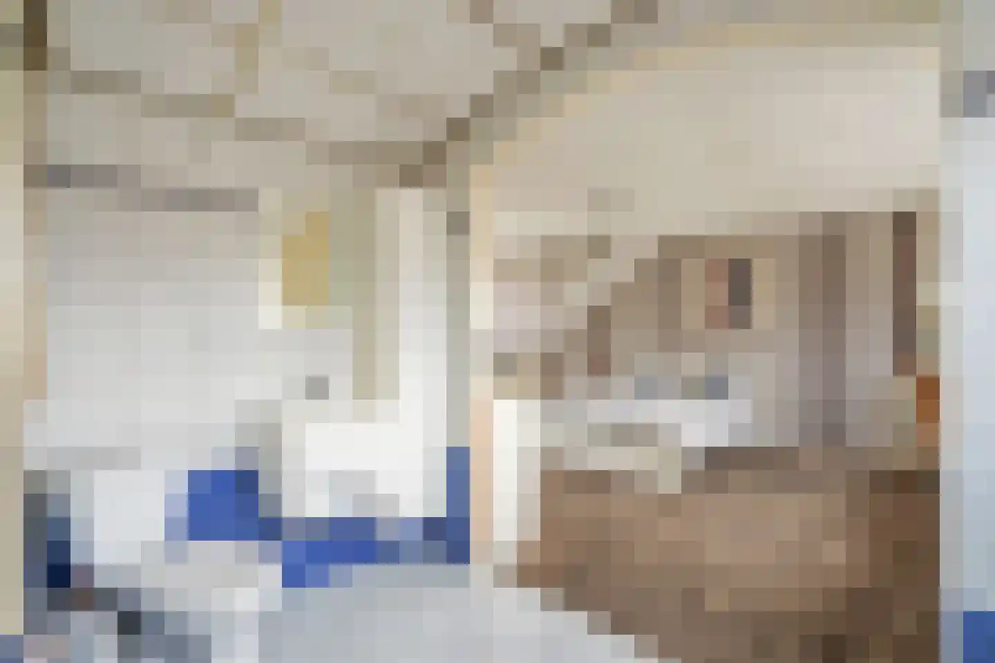 Pelikaanhof 38 Leidschendam thumbnail 37