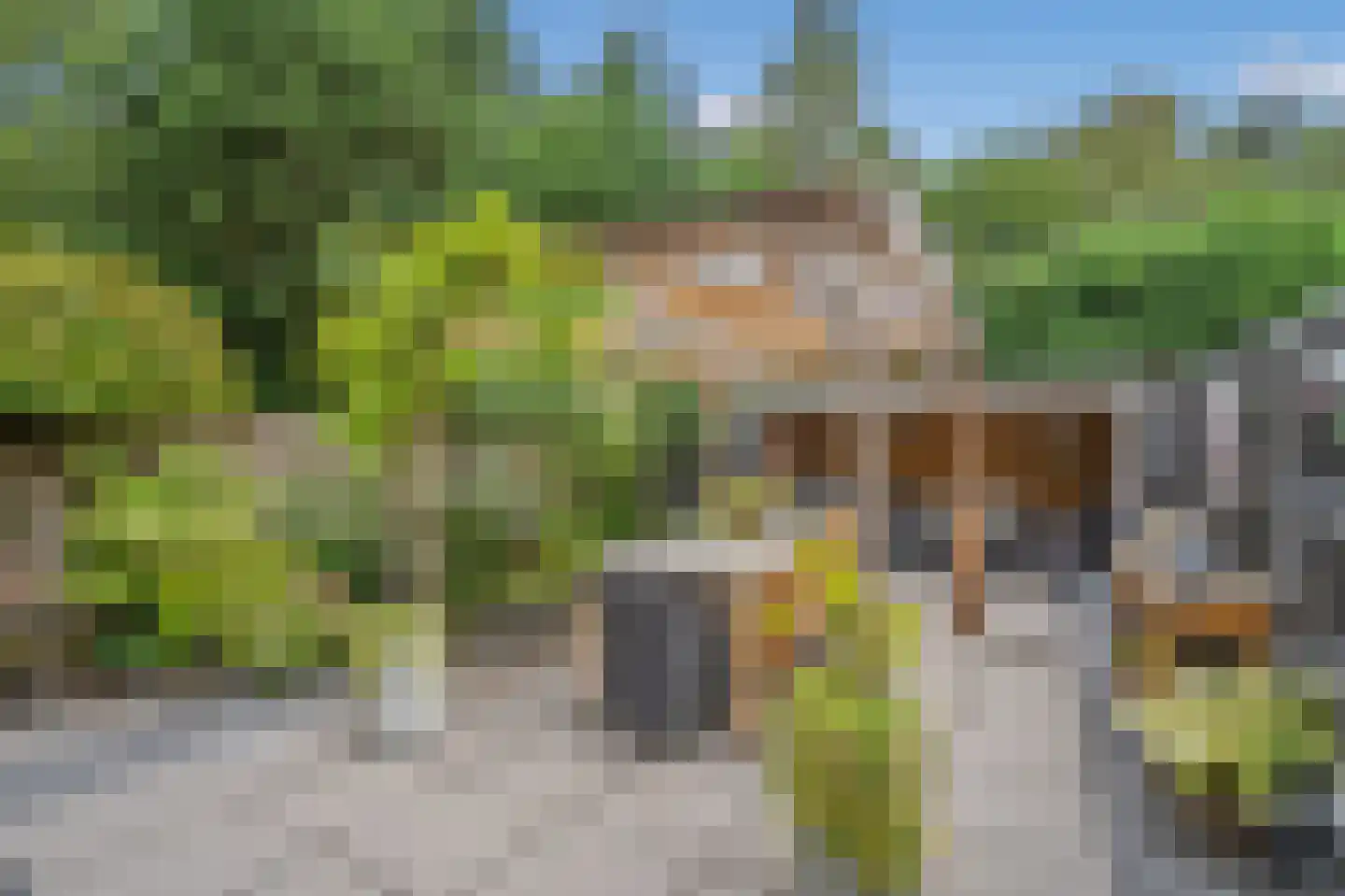 Pelikaanhof 38 Leidschendam thumbnail 5
