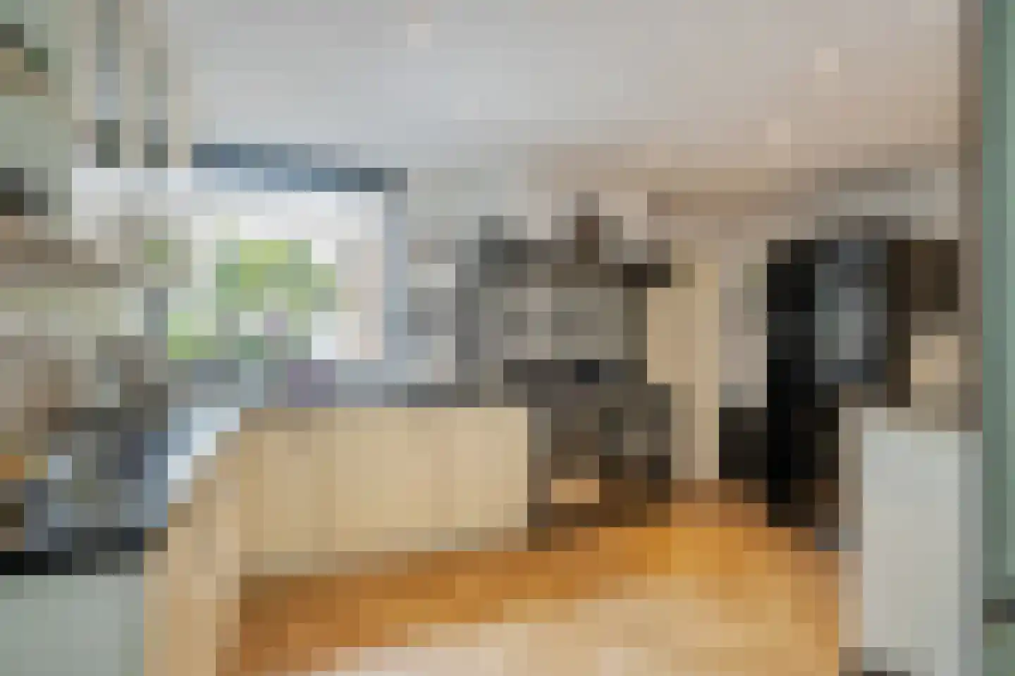 Pelikaanhof 38 Leidschendam thumbnail 7