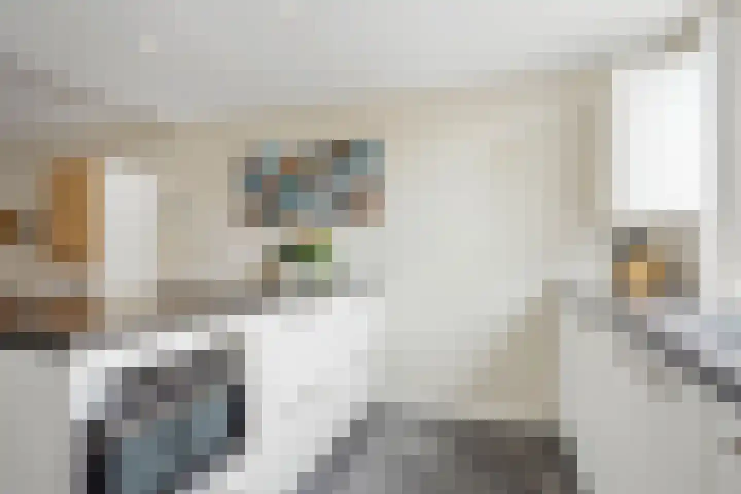 Pelikaanhof 4 Leidschendam thumbnail 14