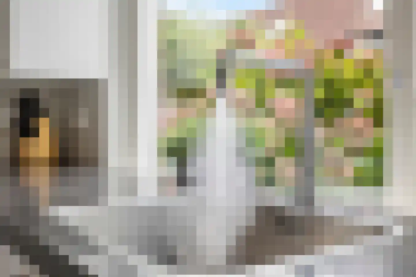 Pelikaanhof 4 Leidschendam thumbnail 16