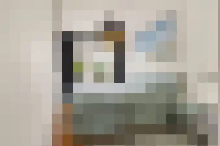 Pelikaanhof 50 Beverwijk thumbnail 15