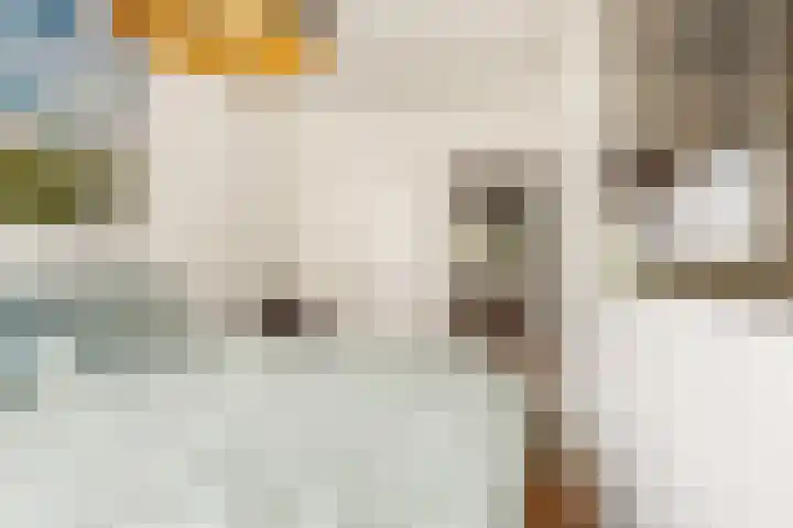 Pelikaanhof 50 Beverwijk thumbnail 16