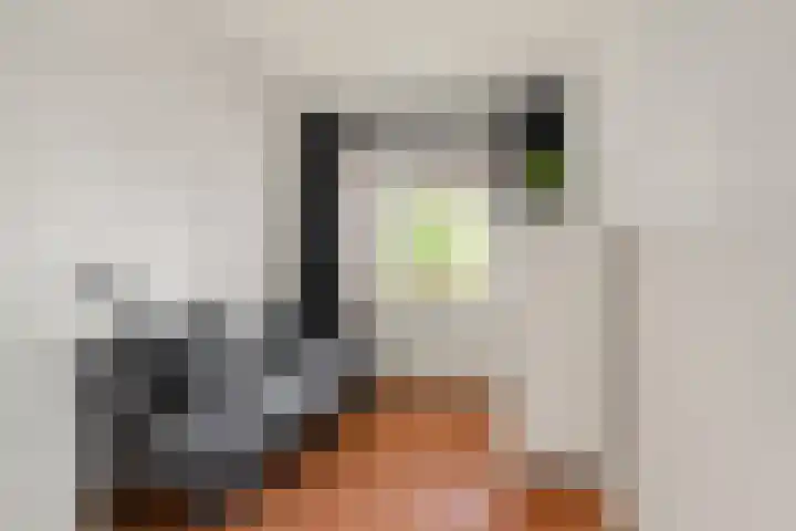 Pelikaanhof 50 Beverwijk thumbnail 17